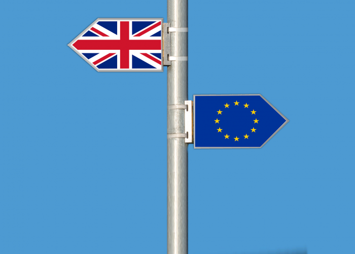The campaign for Brexit: one year on