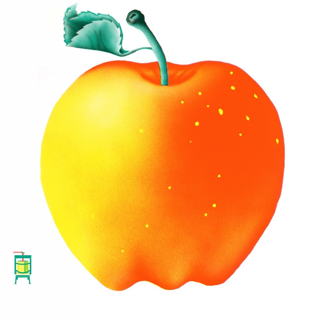 Apple_for Andrew